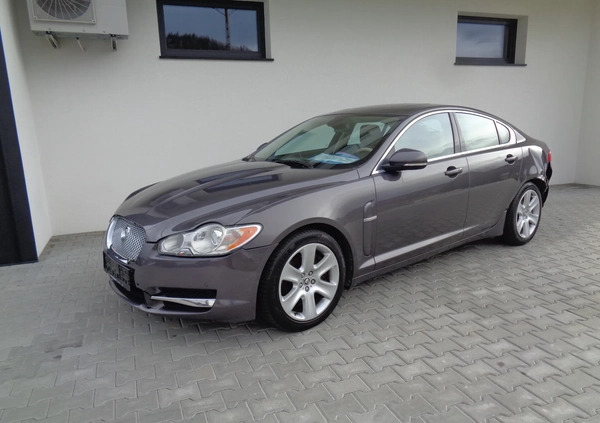 Jaguar XF cena 17900 przebieg: 187000, rok produkcji 2010 z Stargard małe 172